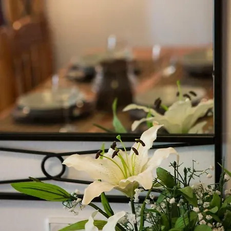 Tropical 게스트하우스 *